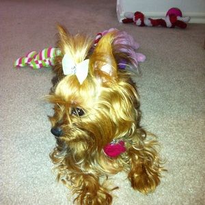 Meet your Posher, Melissa